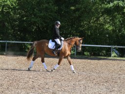 IMG_5030_web